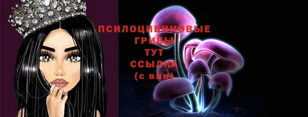 мескалин Арсеньев